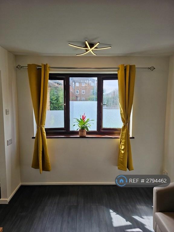 Living Room Window