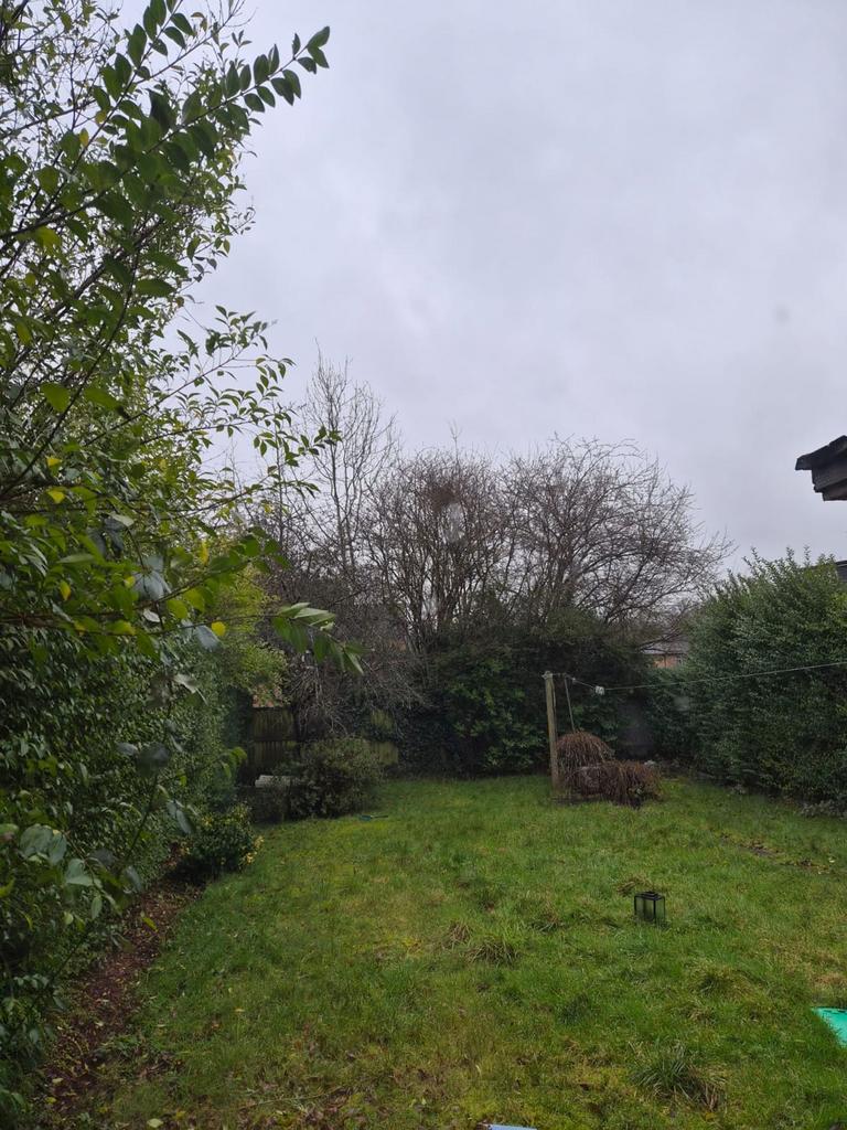 Backgarden