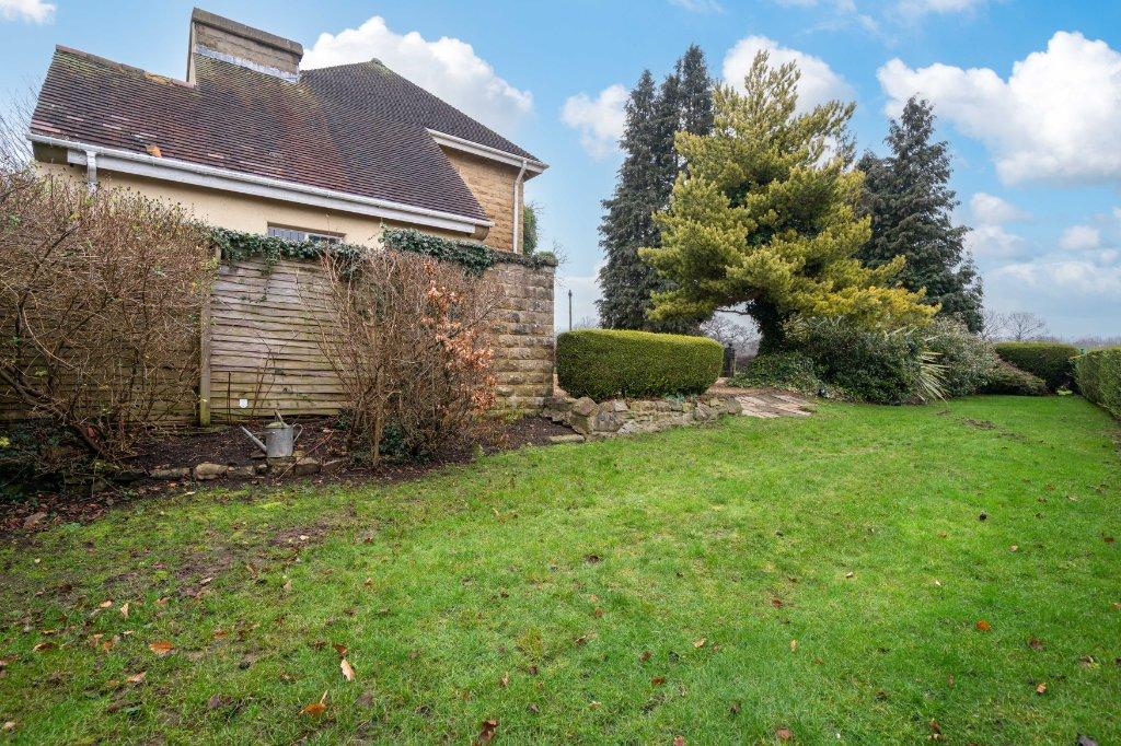 Side Garden