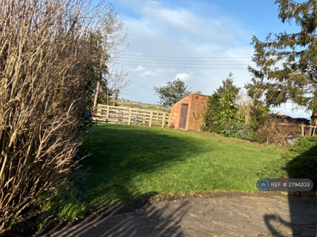 Back Garden