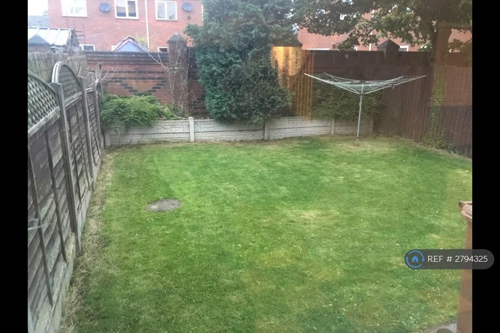 Back Garden