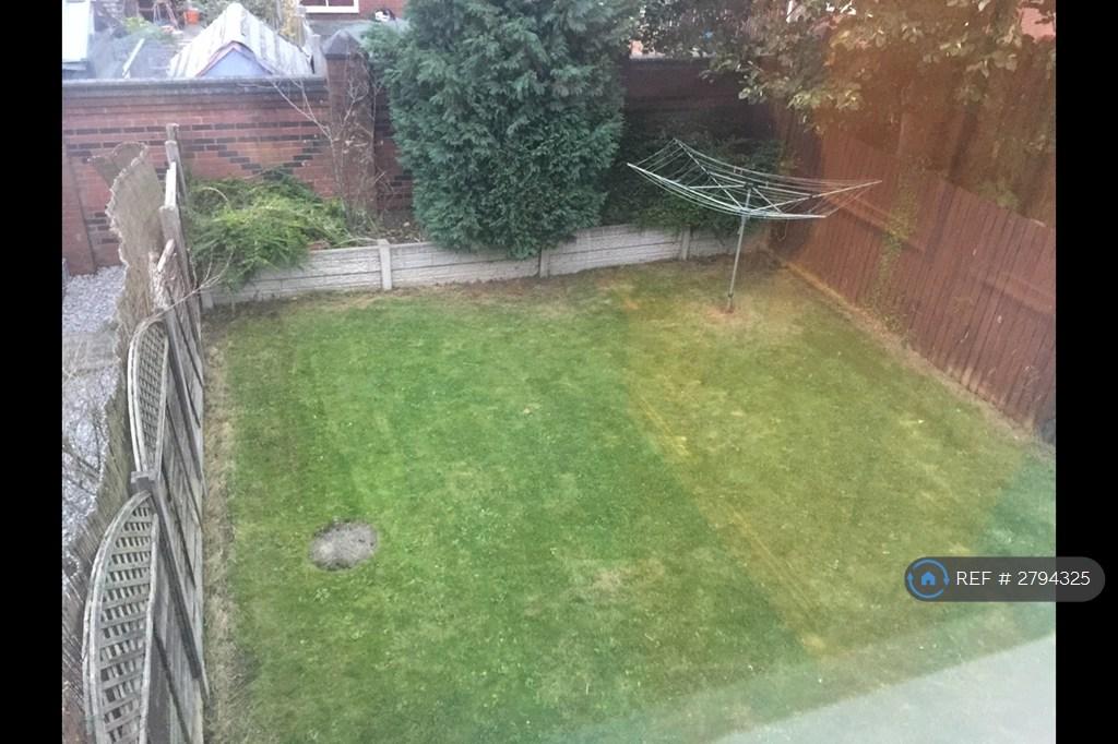 Back Garden