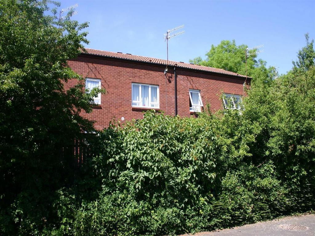 External