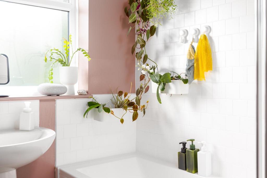 81 Willis Road, BS15 4 SW-9.jpg
