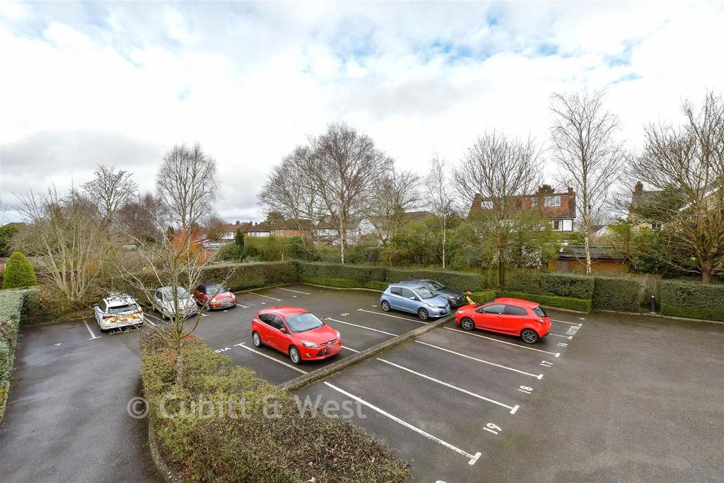 Driveway/Parking