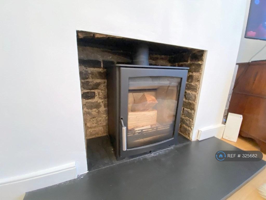 Fireplace (Working)