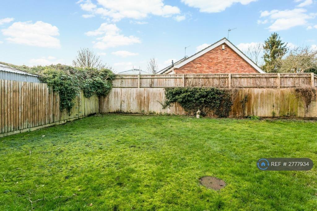 Back Garden