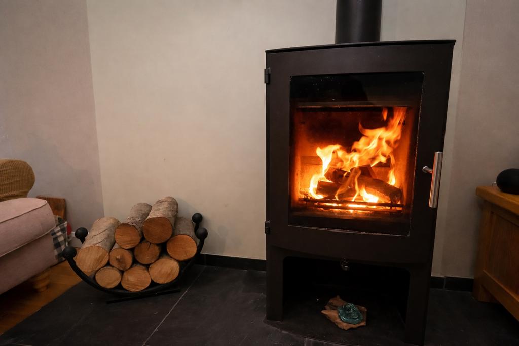 Multi fuel stove