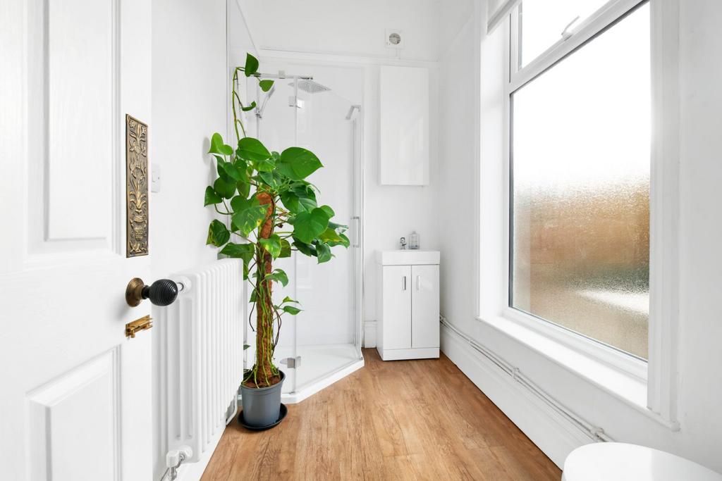 Downstairs Shower