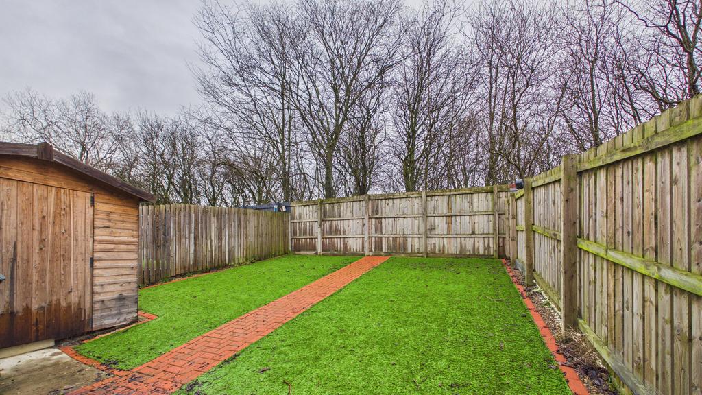 Back Garden (1)