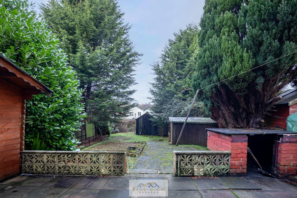 Back garden 1.1