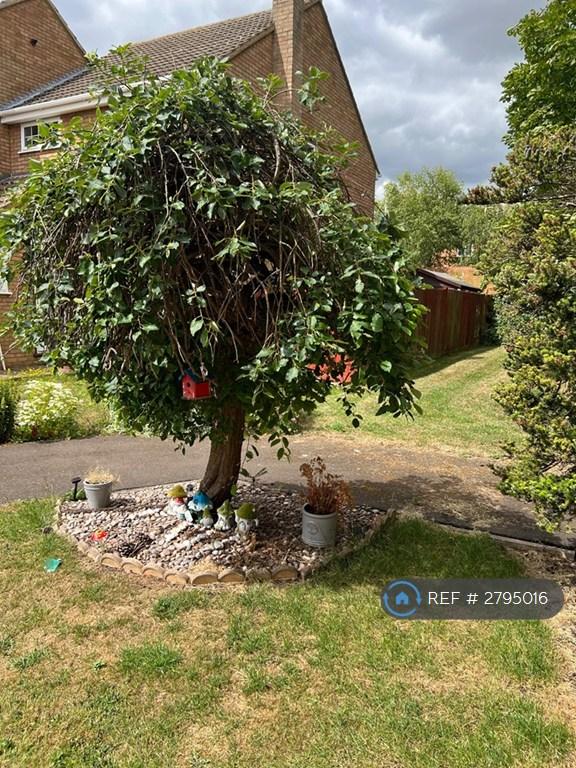 Front Garden