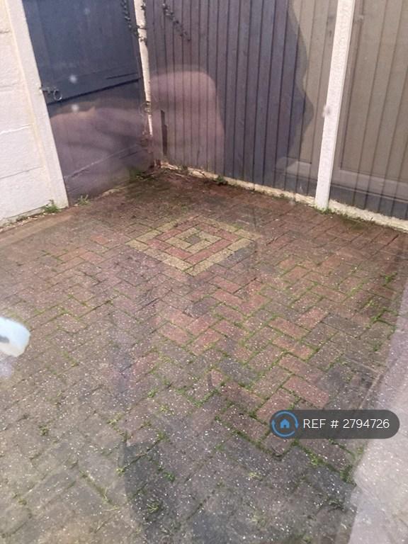 Back Garden