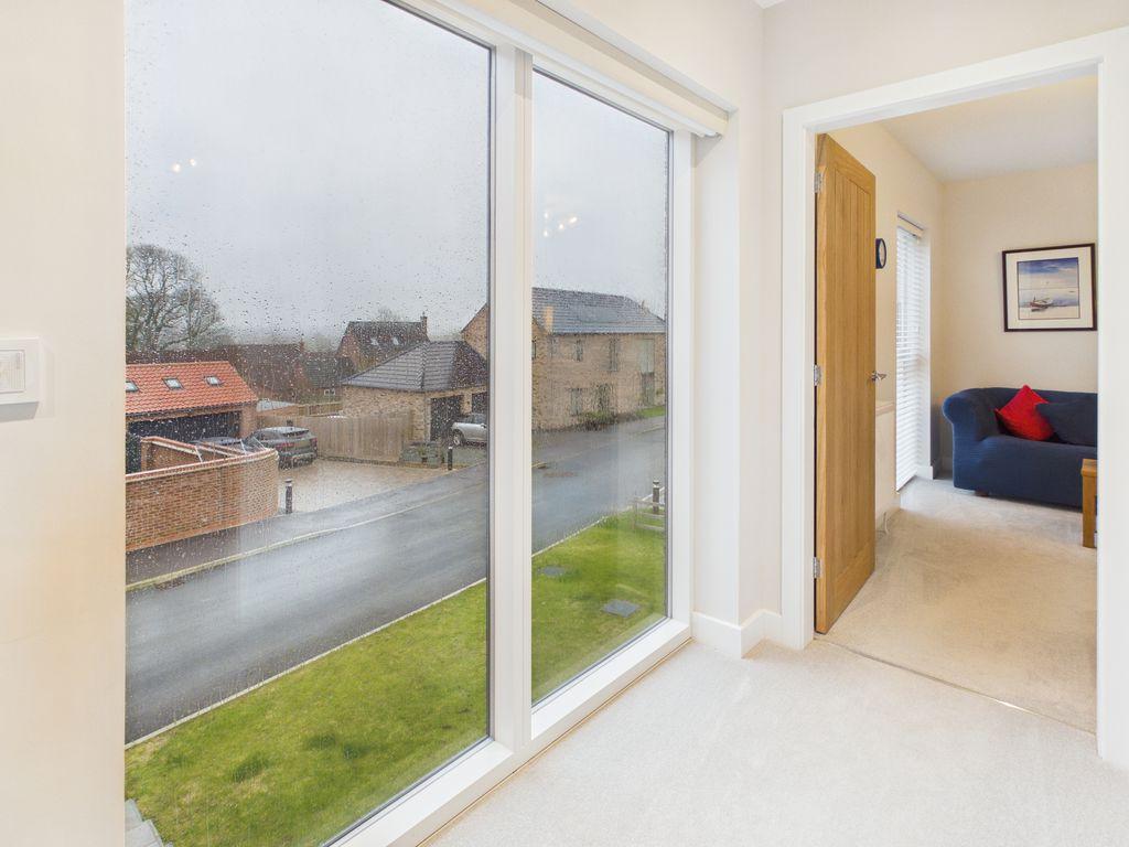 Full Height Windows