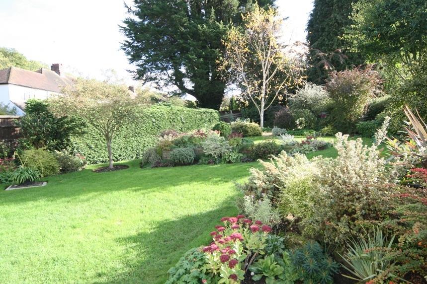 Garden view, garden