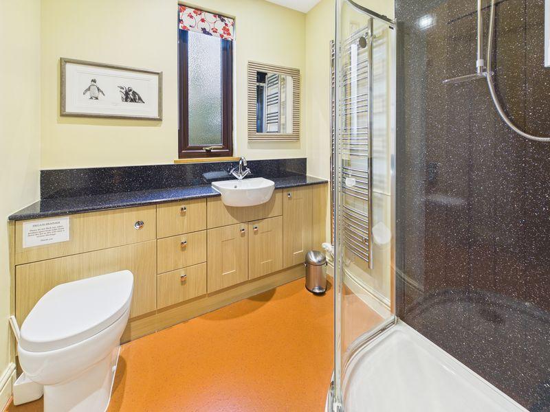 Downstairs Shower