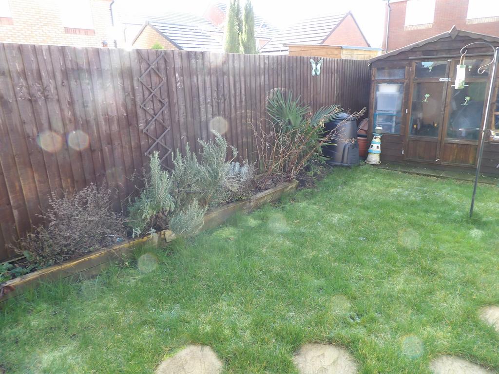 Low Maintenance Garden