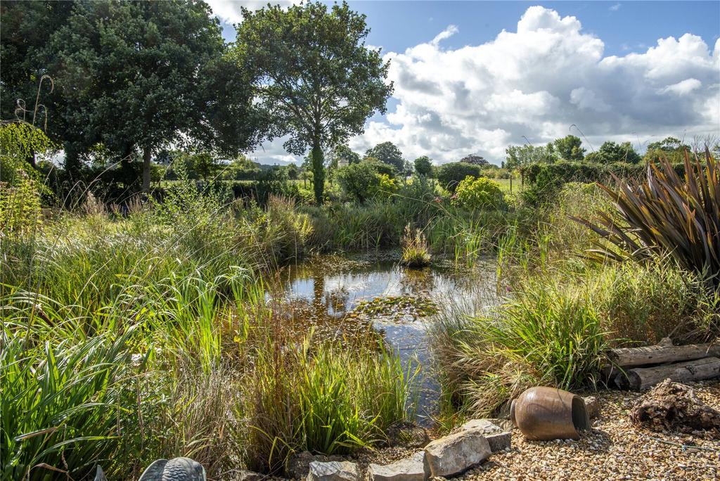 Wildlife Pond