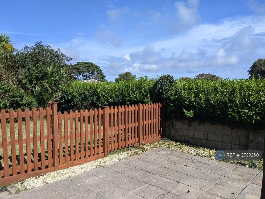 Back Garden