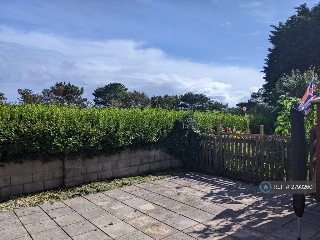 Back Garden