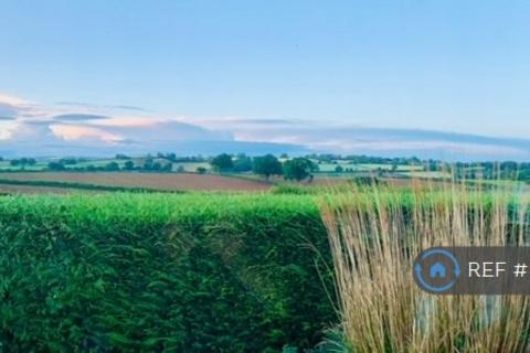 3 bedroom bungalow to rent, Crown Hill, Halberton, Tiverton, EX16