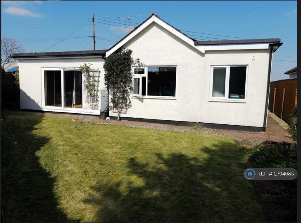 Back Garden