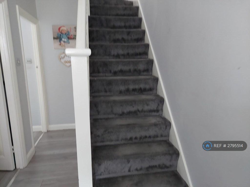 Carpeted Stairs