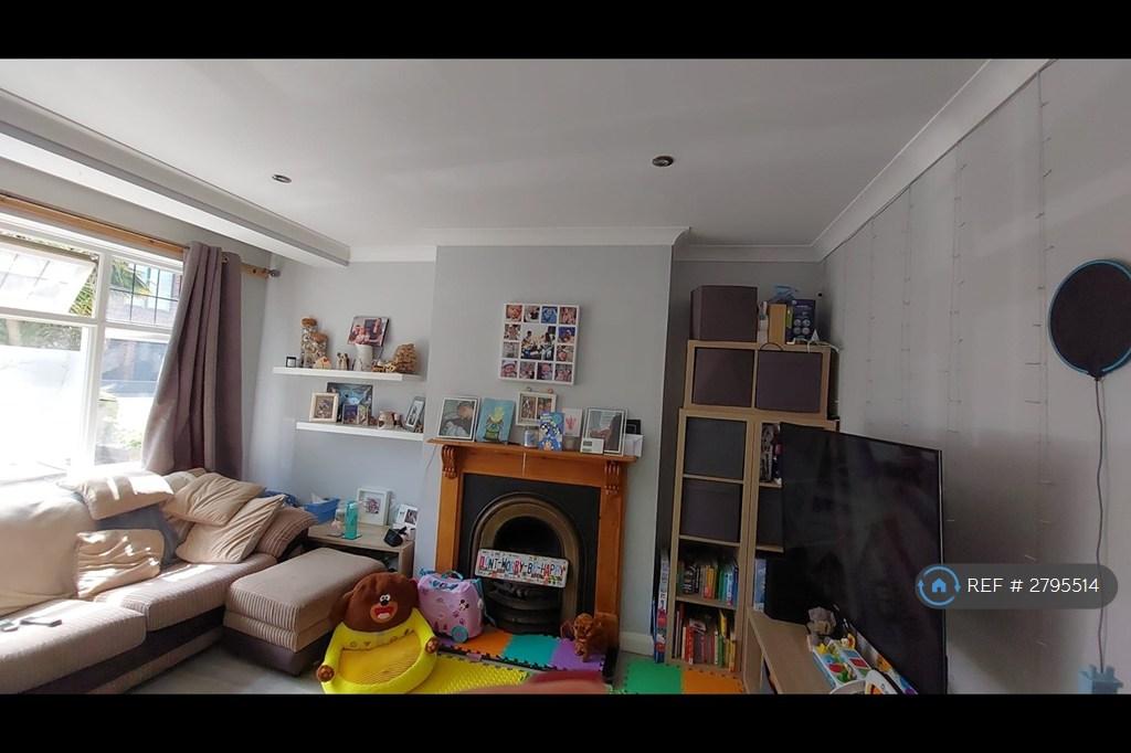Feature Fireplace