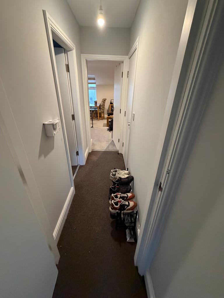 IMG 1750 T202602142019.jpg