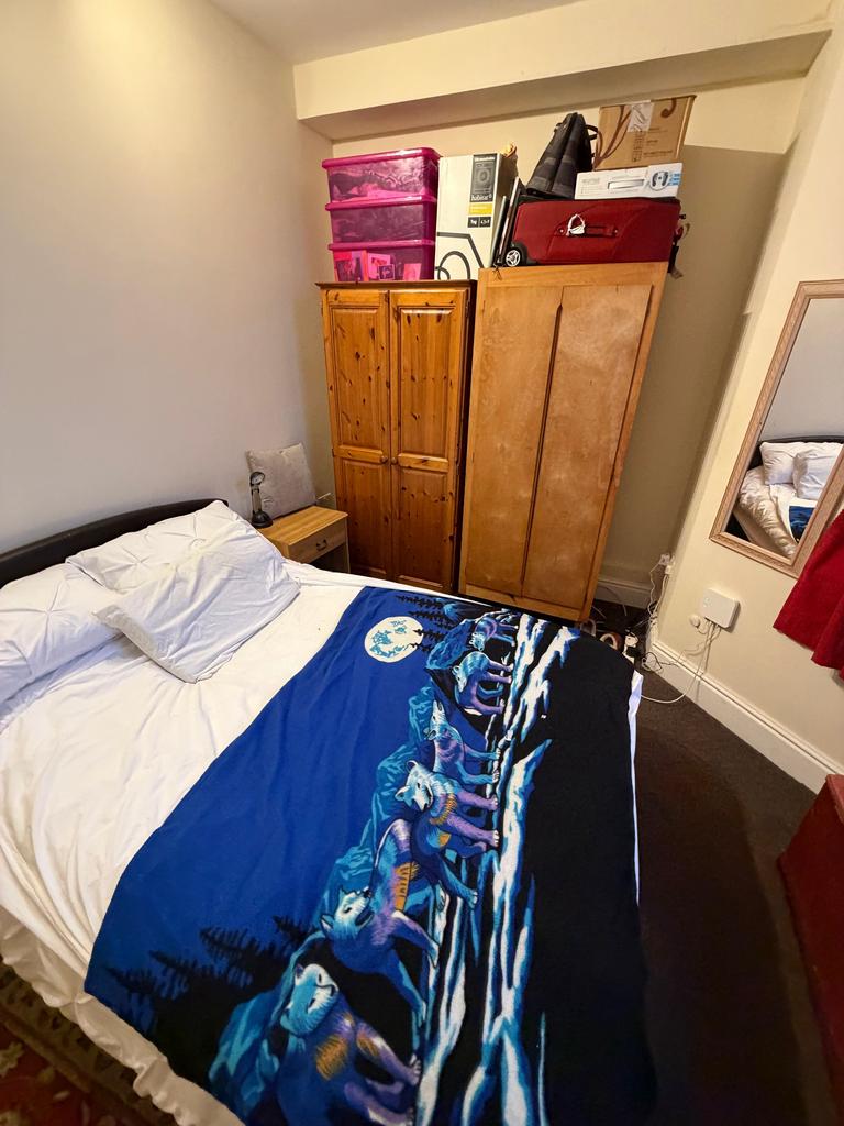 IMG 1781 T202602142019.jpg