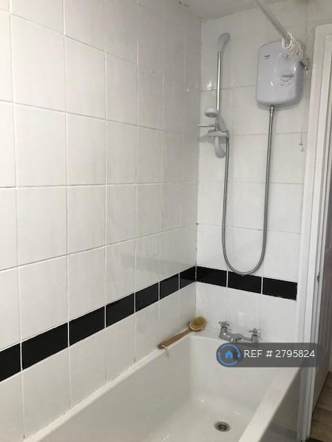 Bath Shower