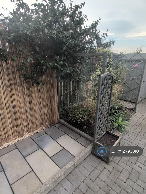 Back Garden