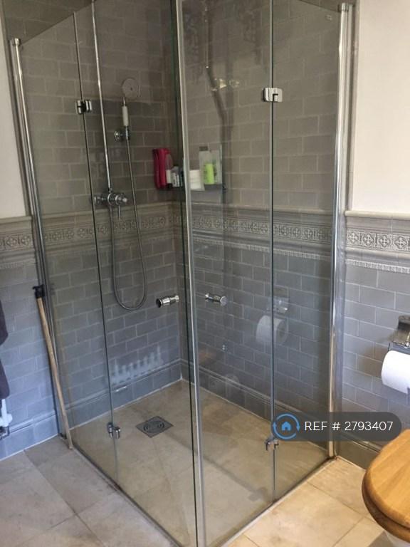 Large Shower With Good Pressure