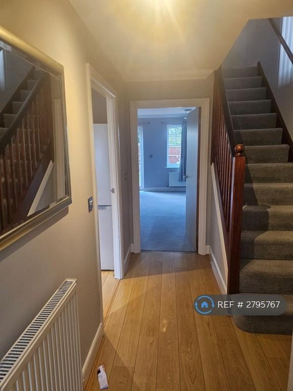 Hallway And Stairs