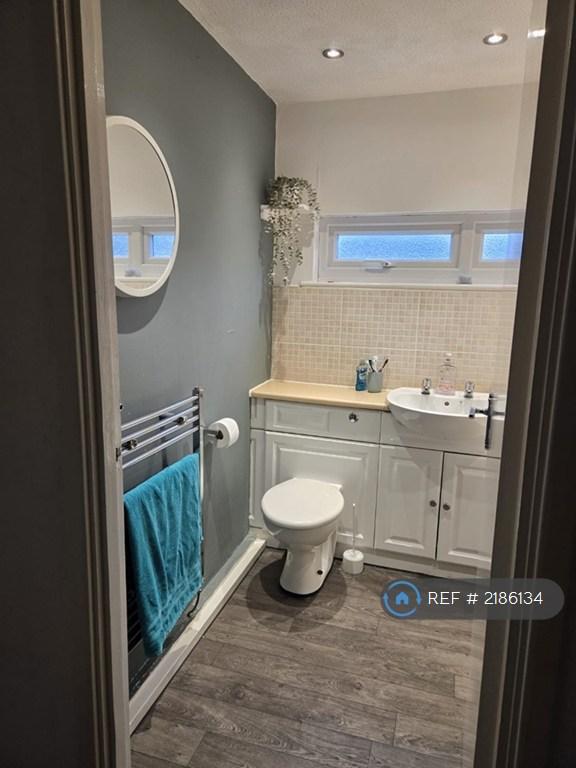 Bathroom Showing Radiator