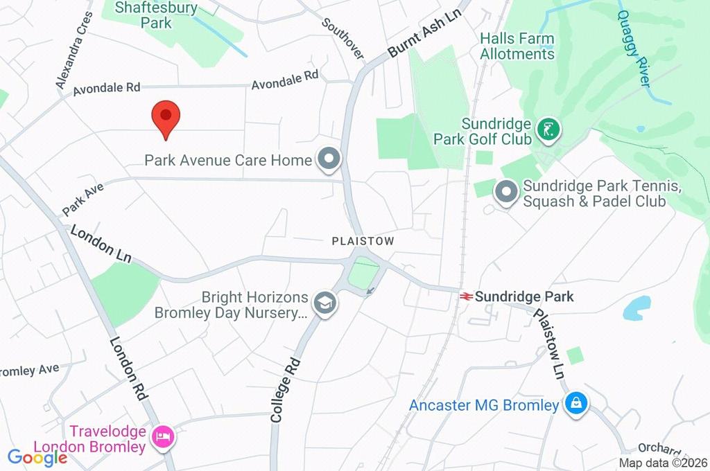 Google Maps Image