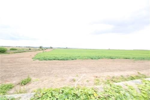 P000607 L.jpg