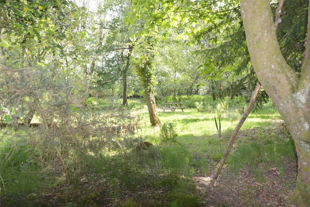 Woodland