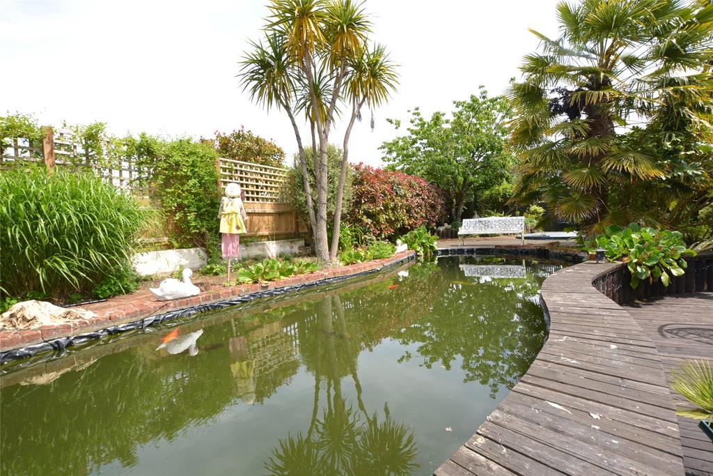 Koi Pond