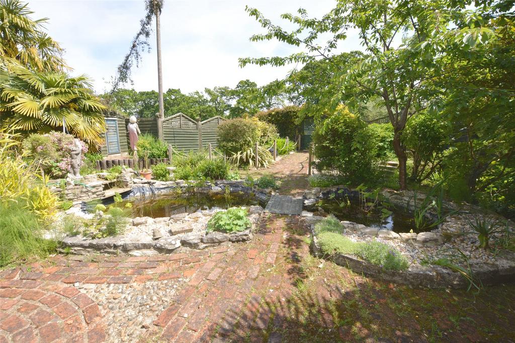 Pond