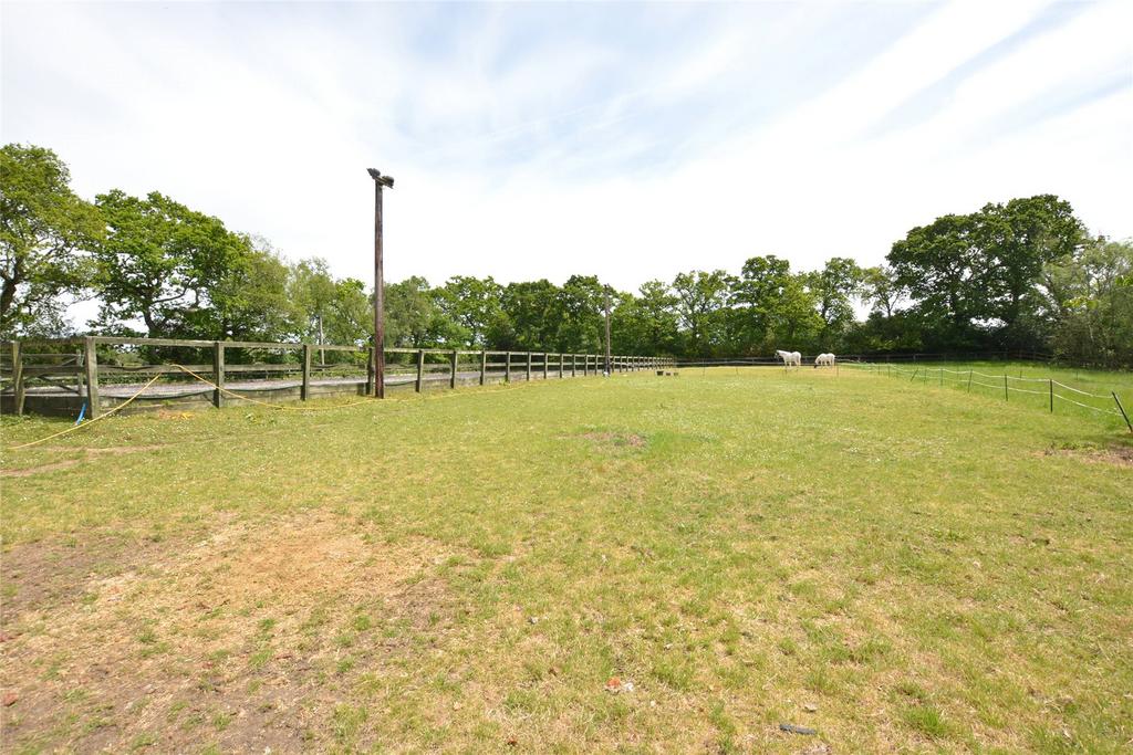 Field