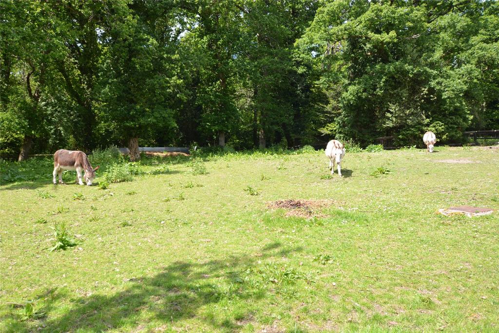 Field