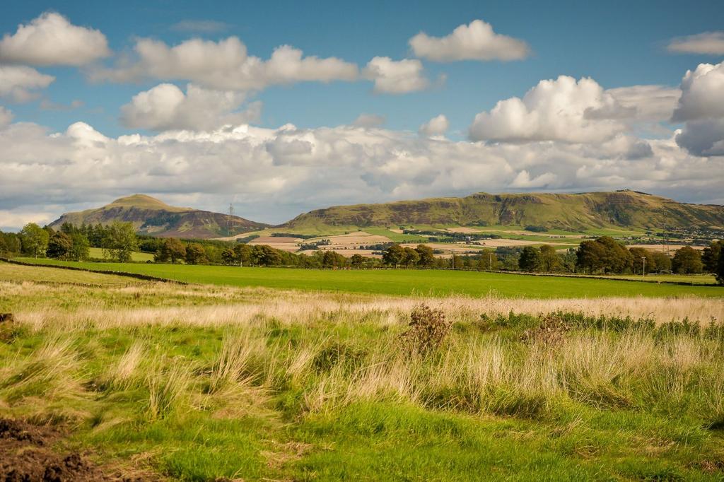 Explore Countryside
