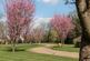 Additional image 18 of Molesey Park Road, Spencer Park Molesey Park Road, KT8