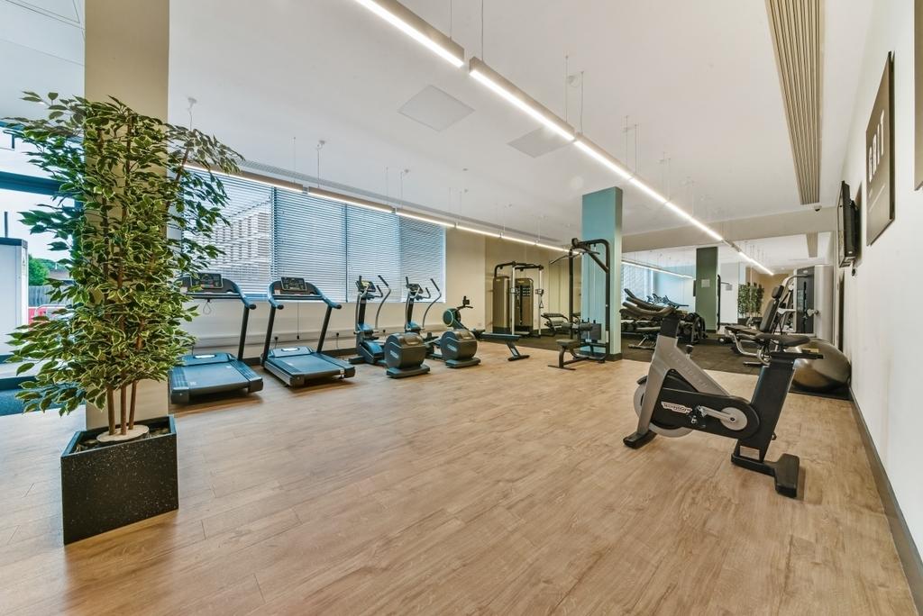 Gymnasium