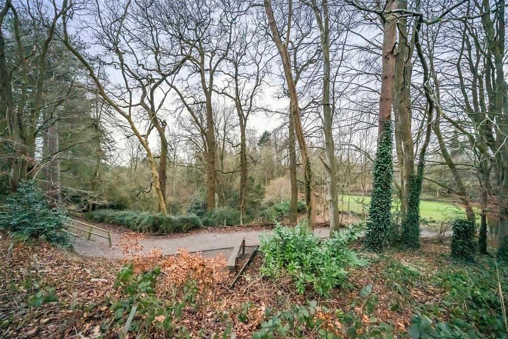 1241447 (9).jpg