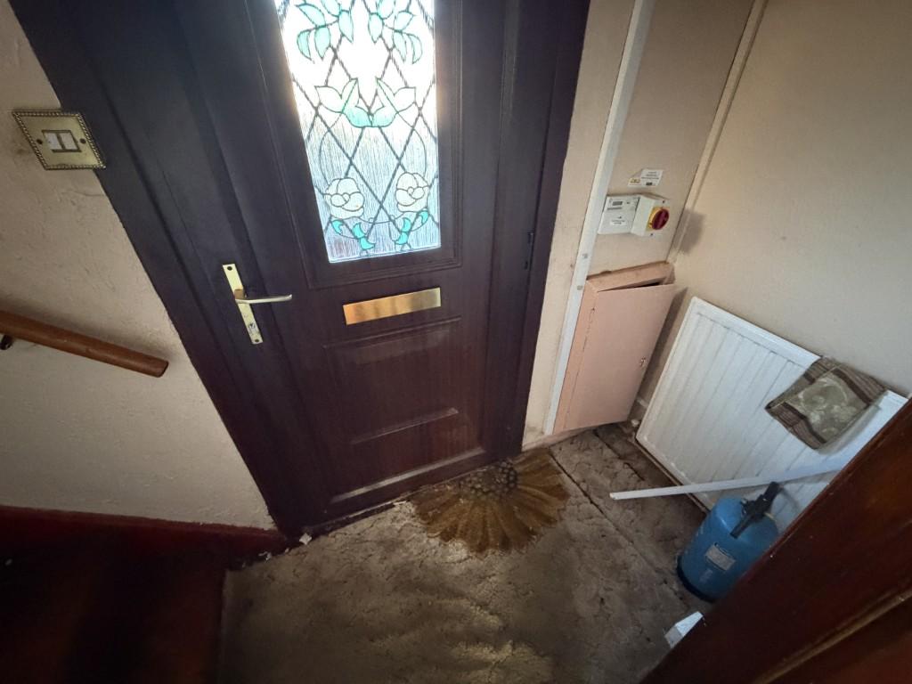 7 Medium T202602161107.jpg