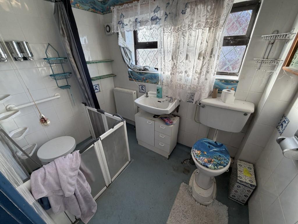 10 Medium T202602161107.jpg