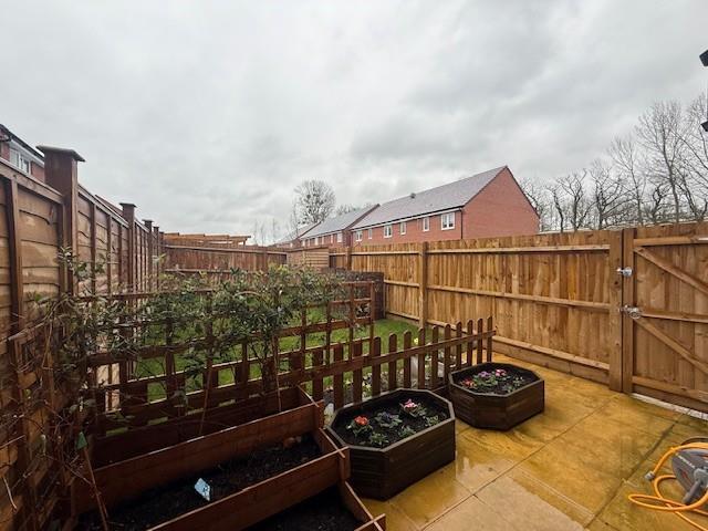 Garden 2.jpg