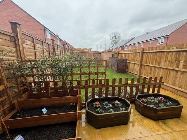 Garden 3.jpg